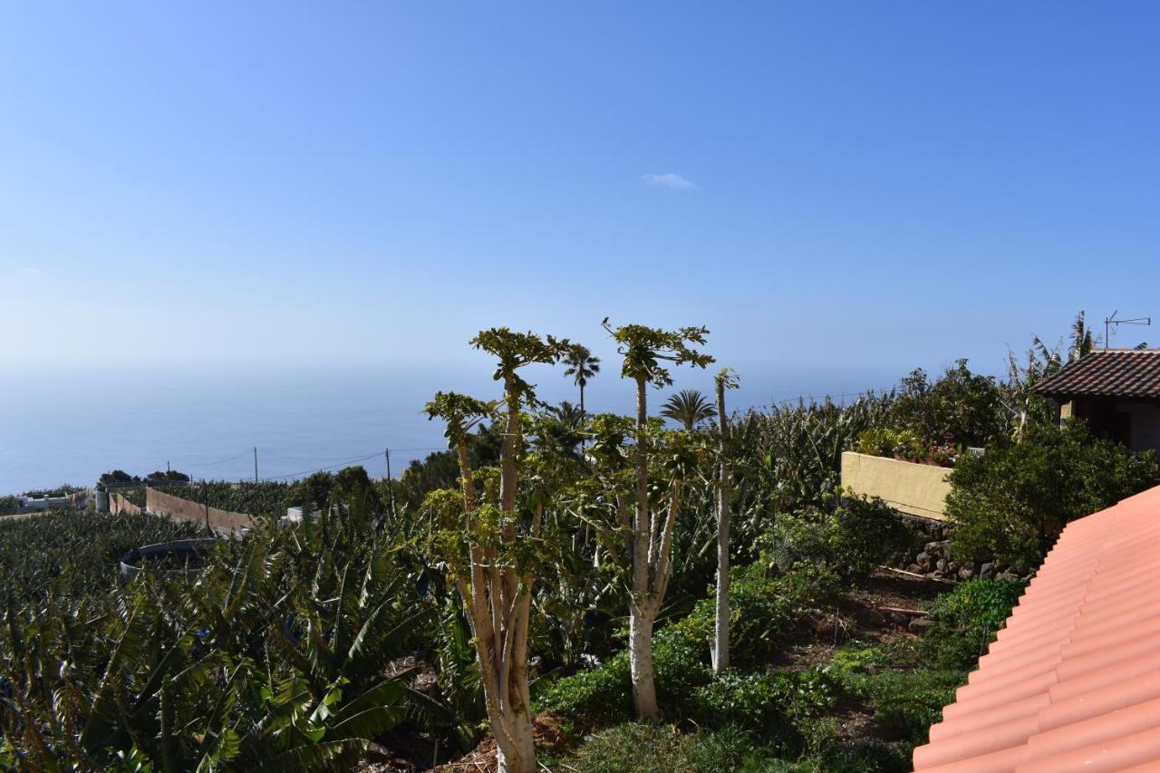 Casa Rosa Daire Tijarafe Dış mekan fotoğraf