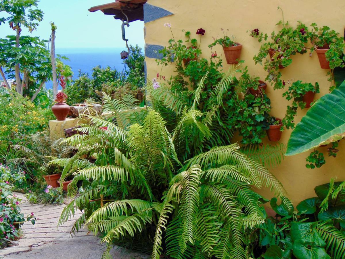 Casa Rosa Daire Tijarafe Dış mekan fotoğraf