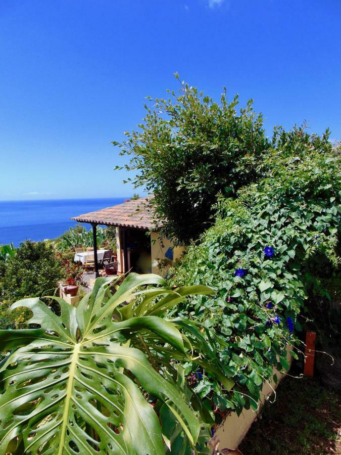 Casa Rosa Daire Tijarafe Dış mekan fotoğraf